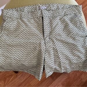Banana Republic Men’s Swim Trunks